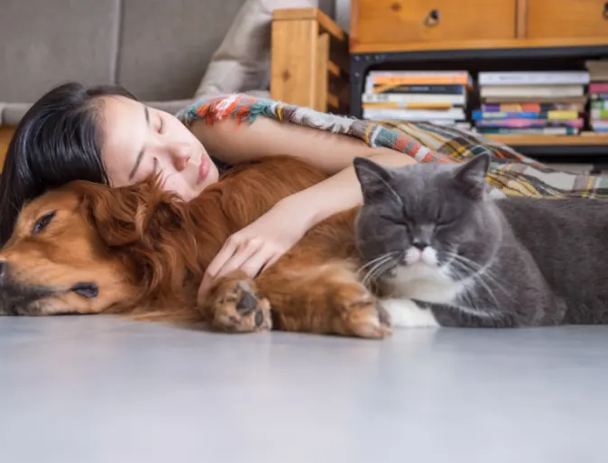 Lady laying on the floor cuddling an orange dog and gray and white cat